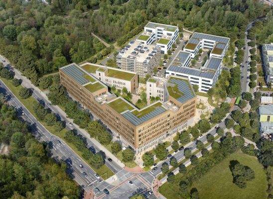 250129_P6_Birdview_UPDATE