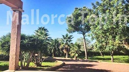 Finca Anwesen in Cas Concos