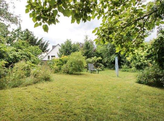 Blick in den hinteren Garten