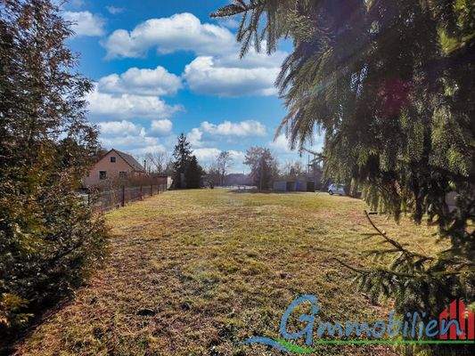 Großes Grundstück für Neubau oder viel Auslauf