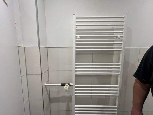 Handtuchheizkörper Bad