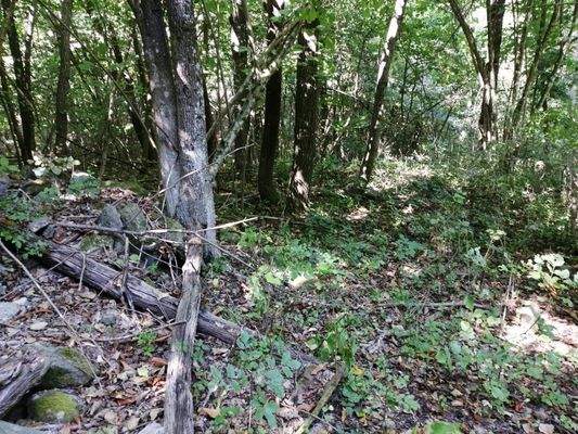 Immagine WhatsApp 2023-11-09 ore 14.26.01_9acc6f49