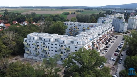 Wiener Neustadt Wohnungen, Wiener Neustadt Wohnung mieten