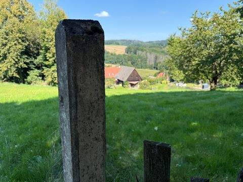 Sebnitz Häuser, Sebnitz Haus kaufen