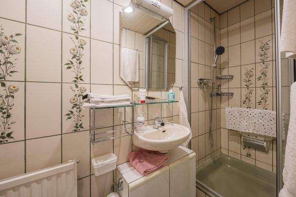 Duschbad Hauptwohnung