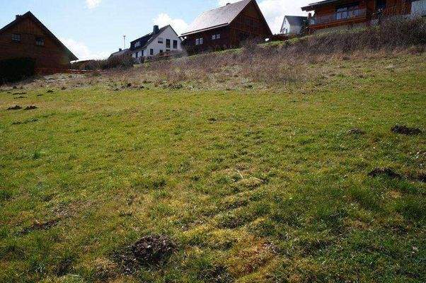 852697b0dd68e6ae22d424eae0e255