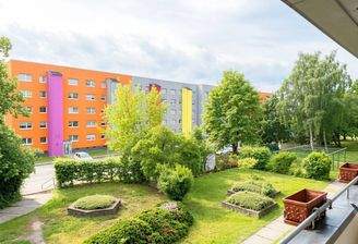 Blick in den grünen Hofgarten