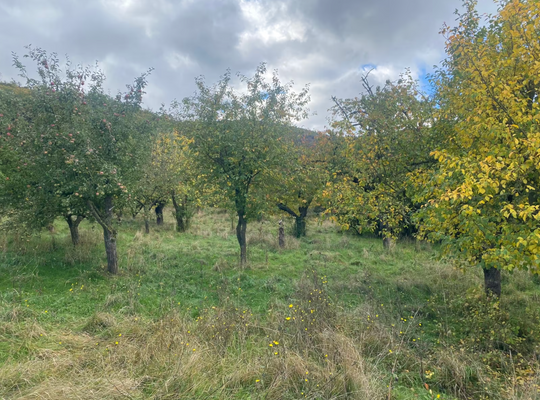 Bildschirmfoto 2026-03-04 um 13.25.11.png