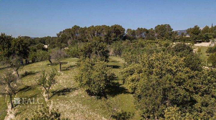 grundstueck-selva-28