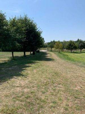 Auf dem Grundstück (7)