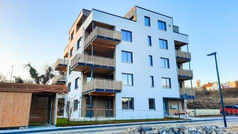 Waldshut-Tiengen Wohnungen, Waldshut-Tiengen Wohnung kaufen