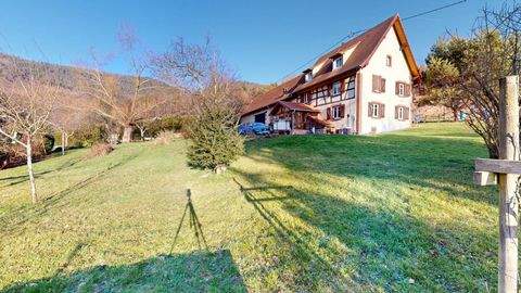 Windstein Häuser, Windstein Haus kaufen