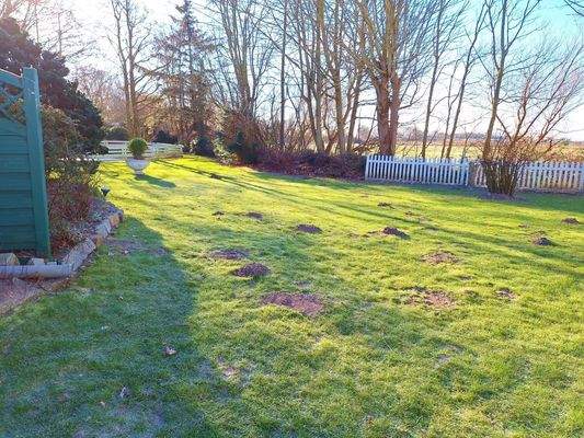 Pflegeleichter Garten