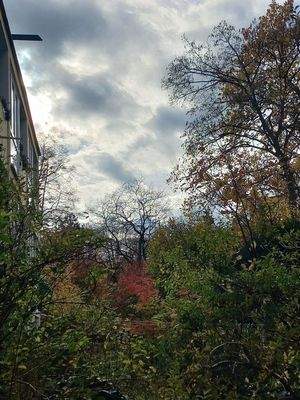 von der großen Terrrasse aus