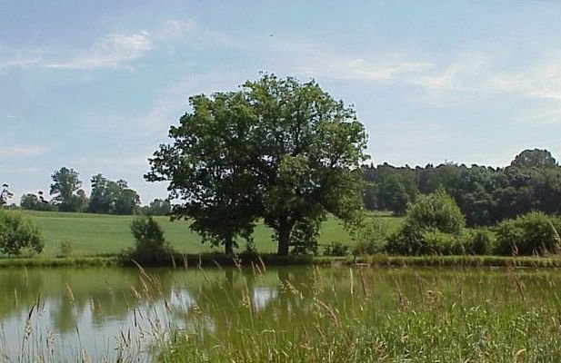 Umgebung