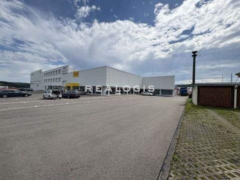 Deißlingen Halle, Deißlingen Hallenfläche