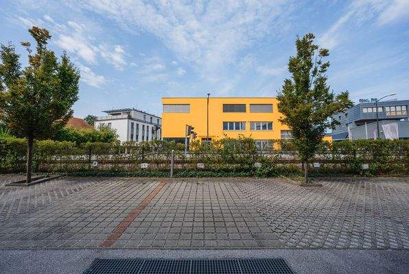 20250827-DSC02333-SJ Photography (Selina Jakob)