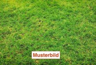 Beispielbild GRD 1.jpg