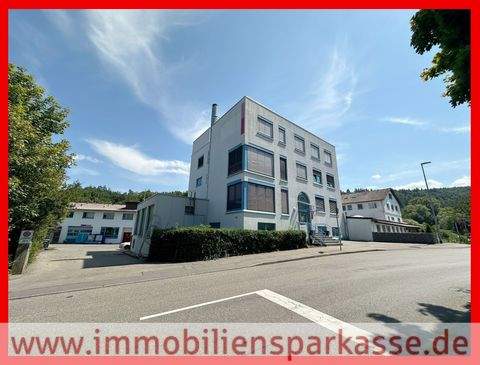 Birkenfeld Halle, Birkenfeld Hallenfläche