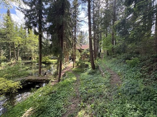 Bild 16