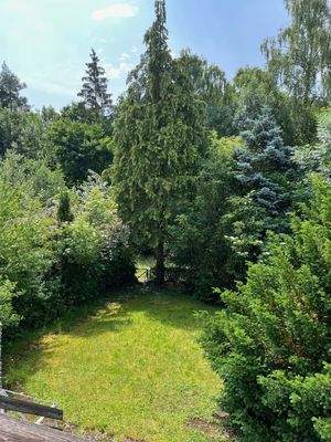 Blick in den Garten (Sommer)