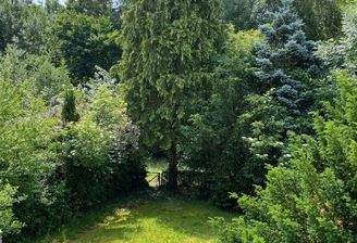 Blick in den Garten (Sommer)