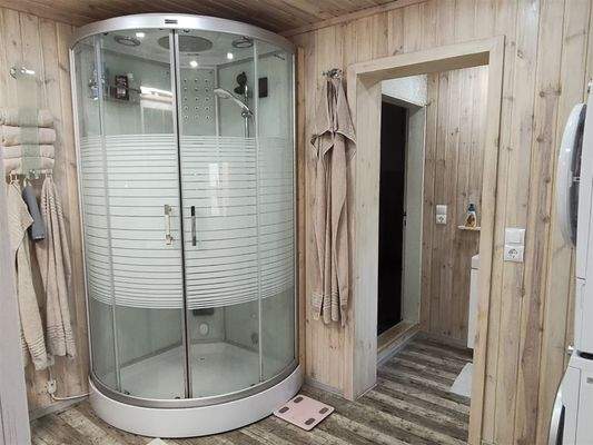 Detail Dampf-Dusche im Bad EG