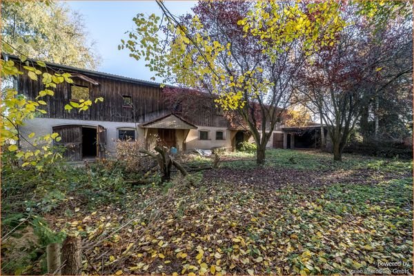 Garten mit Scheune