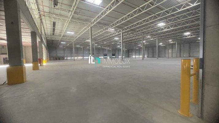 Telefon: 069 50699990