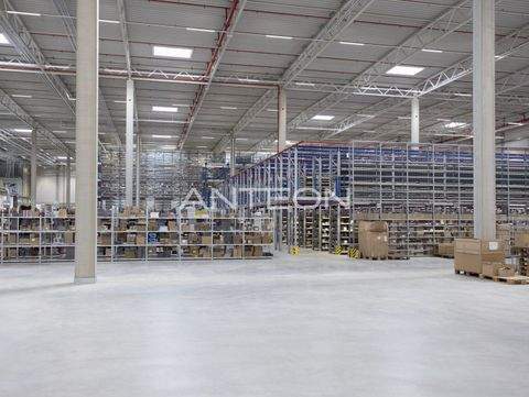 Düsseldorf Halle, Düsseldorf Hallenfläche