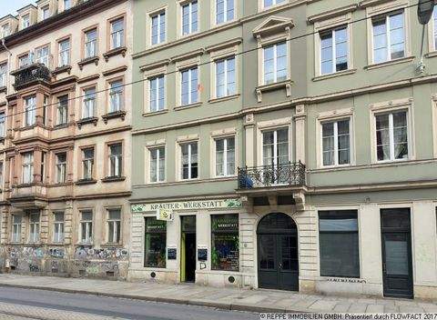 Dresden Ladenlokale, Ladenflächen 