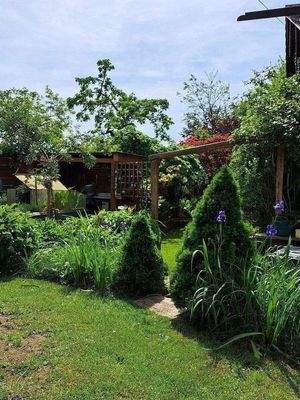 Garten Bild 6.jpg