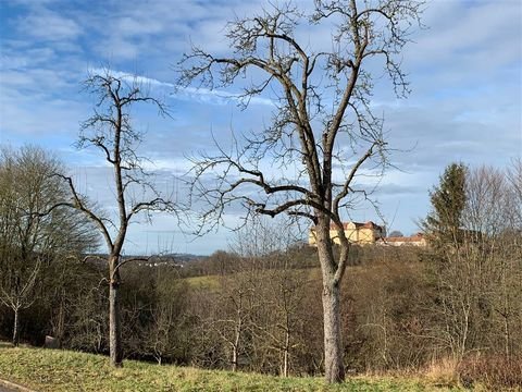 Ellwangen (Jagst) Wohnungen, Ellwangen (Jagst) Wohnung mieten