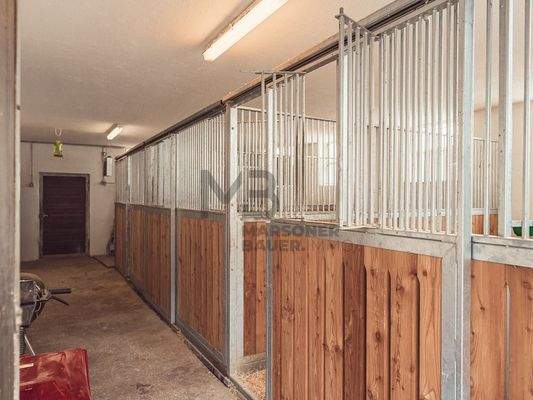 Stall mit Pferdeboxen - stalla con box per cavalli