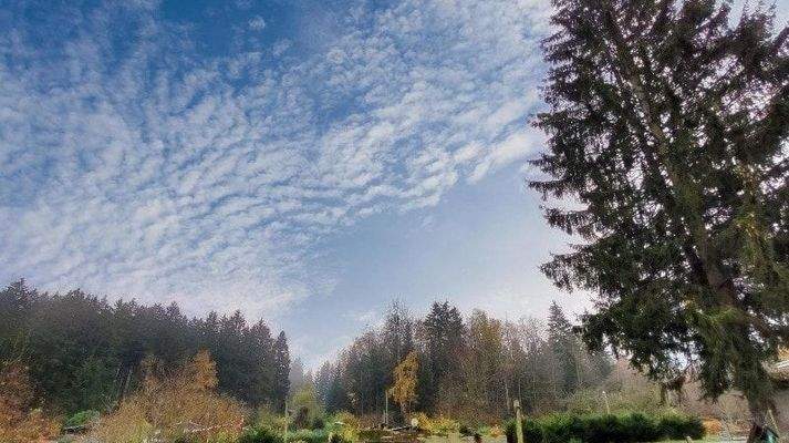 Ausblick vom Grundstück