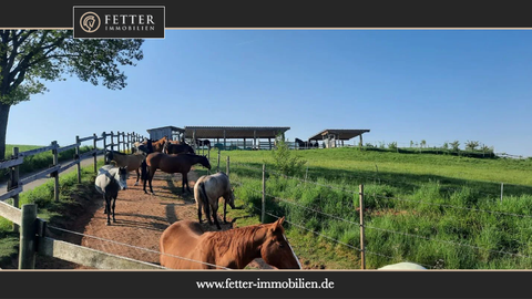 Wartenberg-Rohrbach Bauernhöfe, Landwirtschaft, Wartenberg-Rohrbach Forstwirtschaft