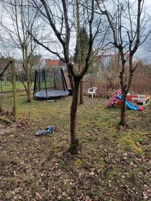 Vorderer Gartenbereich