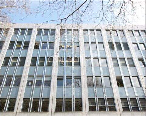 Düsseldorf Büros, Büroräume, Büroflächen 