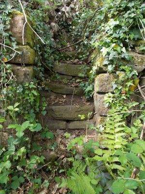 durch das Grundtsück