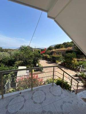 WhatsApp Image 2024-09-06 at 13.20.59 (67).jpeg