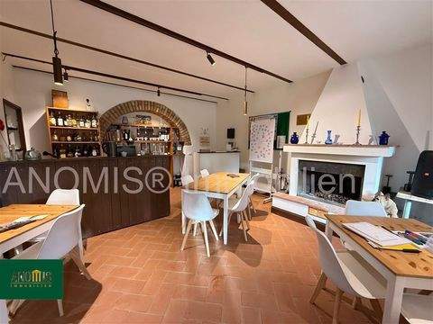 Massa Marittima Industrieflächen, Lagerflächen, Produktionshalle, Serviceflächen