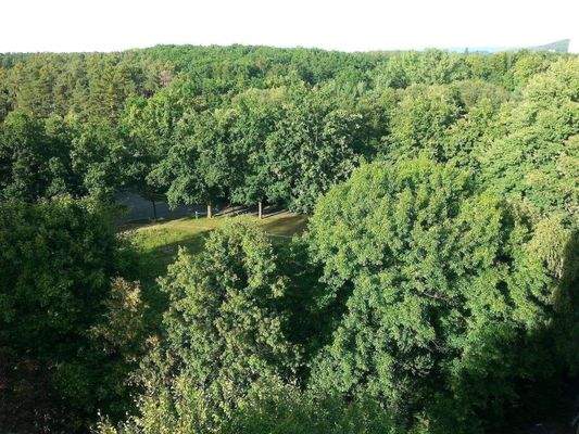 unverbaubare Aussicht zum Erlanger Burgberg.jpg