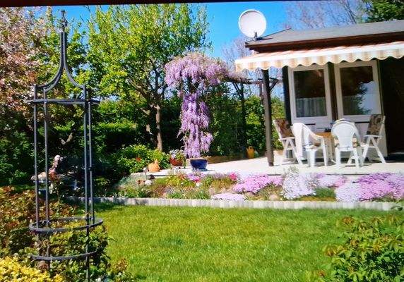 Ansicht mit Terrasse im Frühling