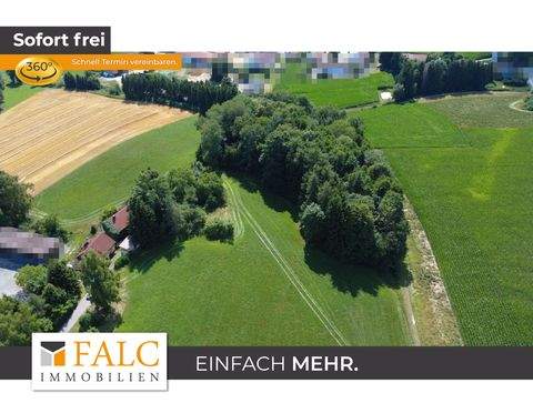 Loiching Häuser, Loiching Haus kaufen