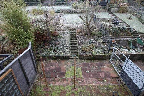 Blick auf den Garten + Terrasse