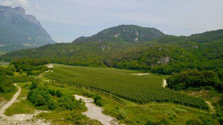 Obstbau-Apfelplantagen-Apfel-Trient-Haus-Kubatur-Bauen-Garage-Geräteschuppen-Frutticoltura-mela-frutteto-mela-Trento-casa-cubatura-edificio-garage-attrezzature-capannone