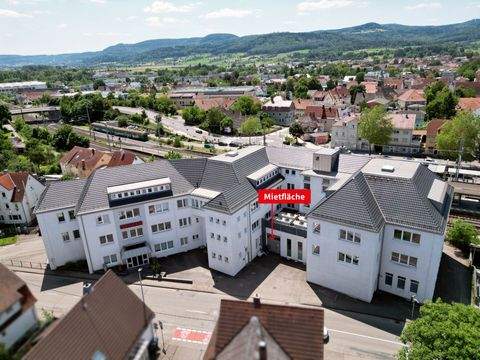 Süßen Halle, Süßen Hallenfläche