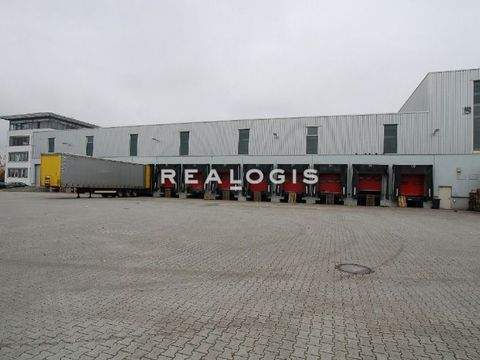 Bendorf Halle, Bendorf Hallenfläche