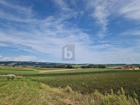 Heiligenberg Grundstücke, Heiligenberg Grundstück kaufen