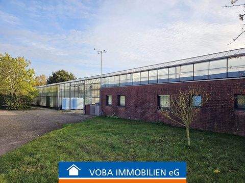 Willich Halle, Willich Hallenfläche